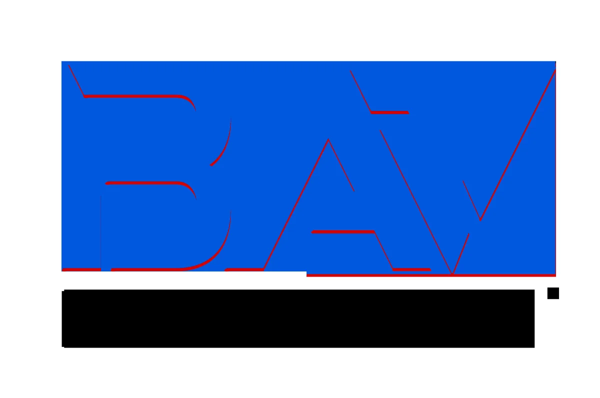 Bavbrick hero