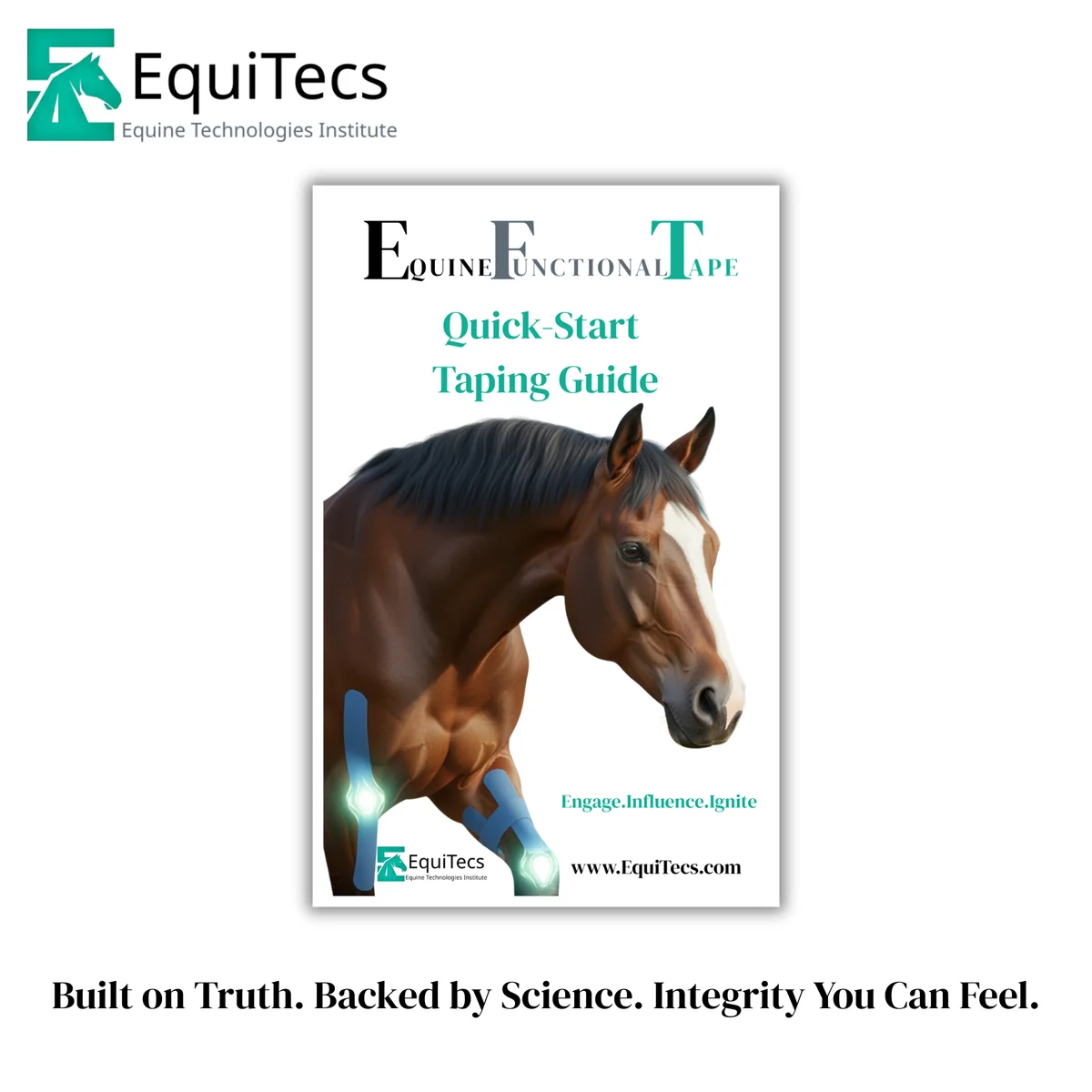 EquiTecs hero