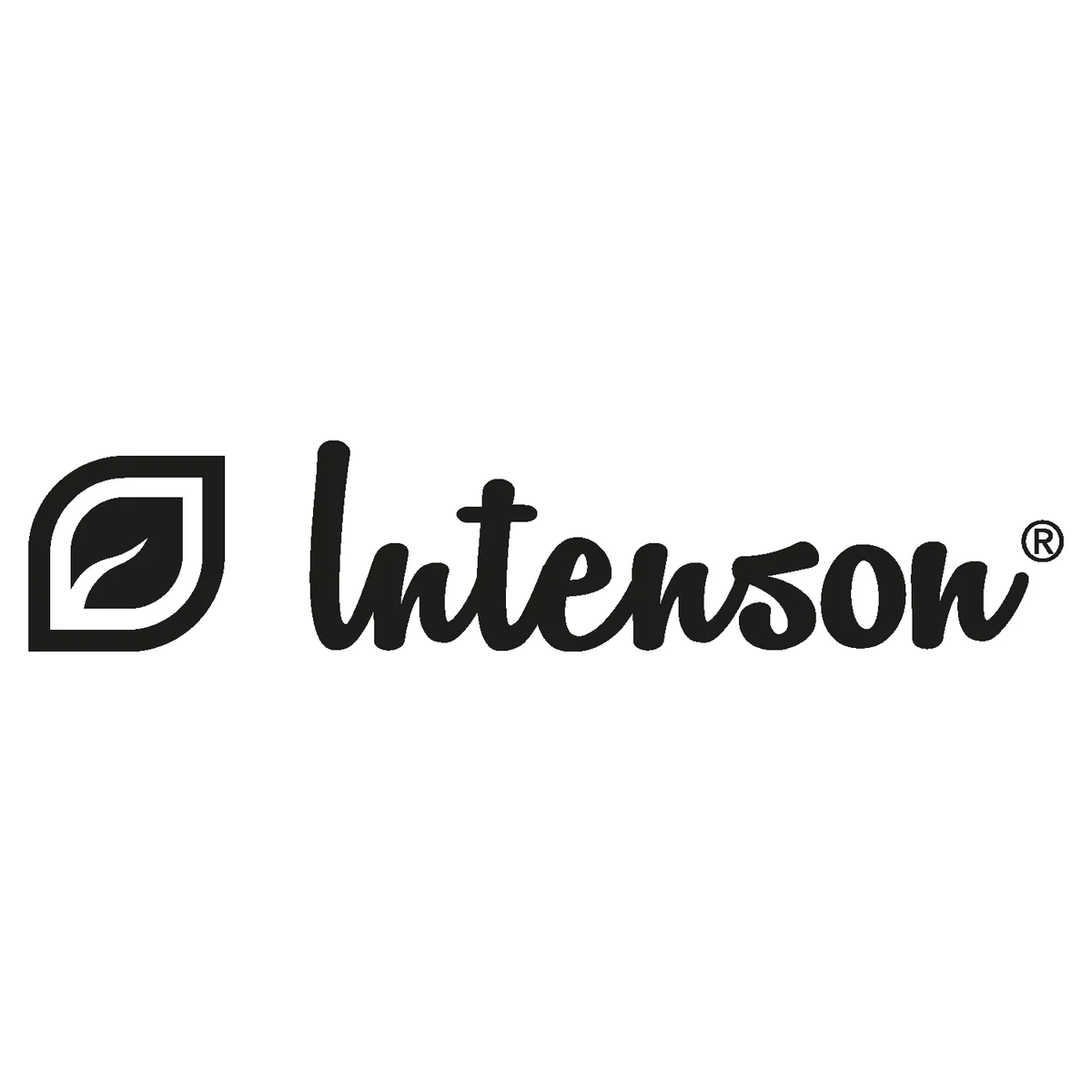 Intenson hero