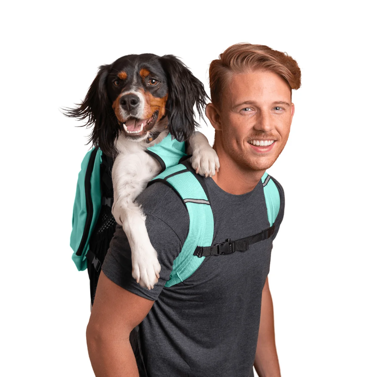 K9 Sport Sack hero