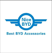 Nice BYD logo