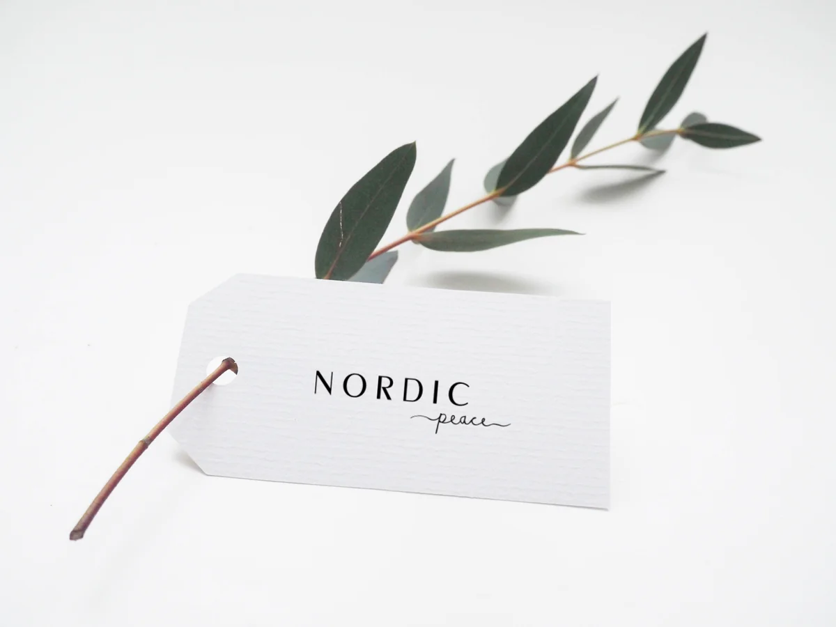 Nordic Peace hero