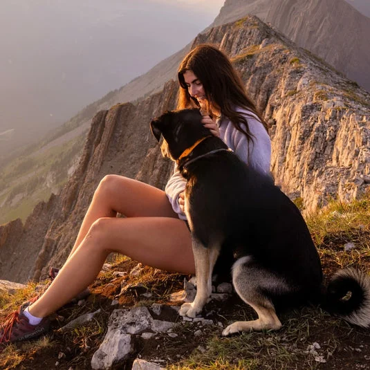 Rockymountaindog hero
