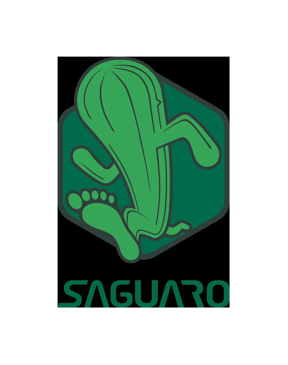 Saguaroshoeses hero